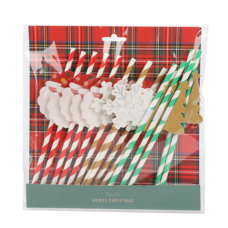 Christmas Paper Straw Set